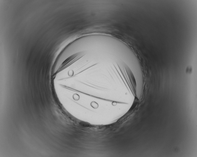 X0000113010148200910081230