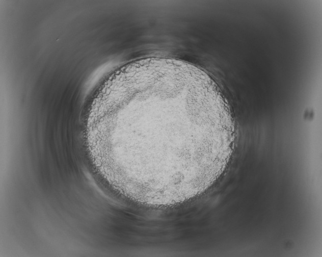 X0000113010149200910081230