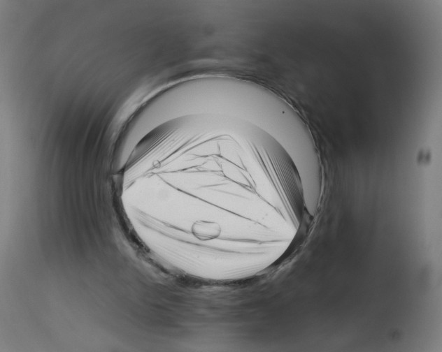 X0000113010150200910081230