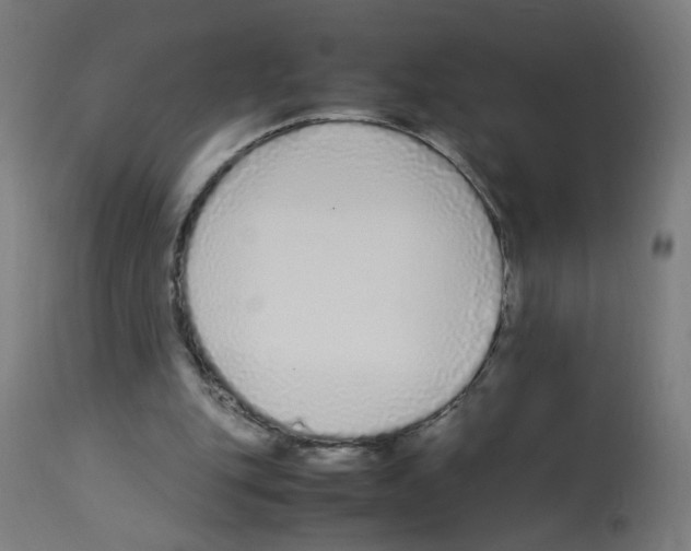 X0000113010151200910081230