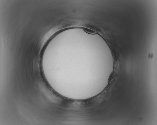X0000113010152200910081230