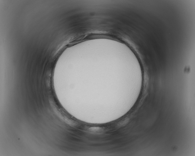 X0000113010153200910081230