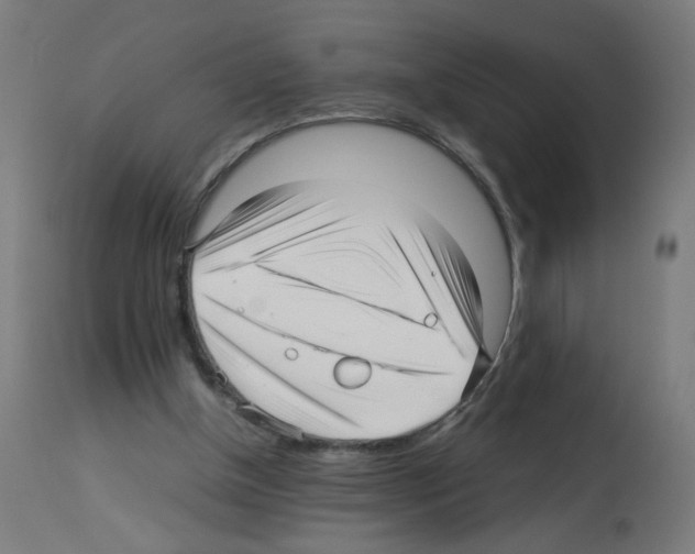 X0000113010154200910081230