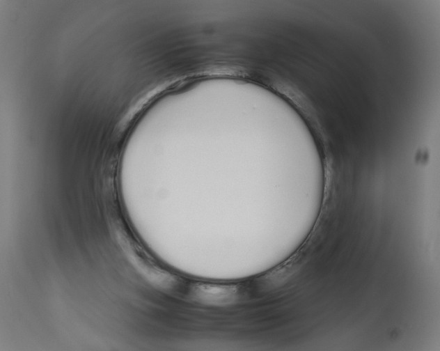 X0000113010155200910081230