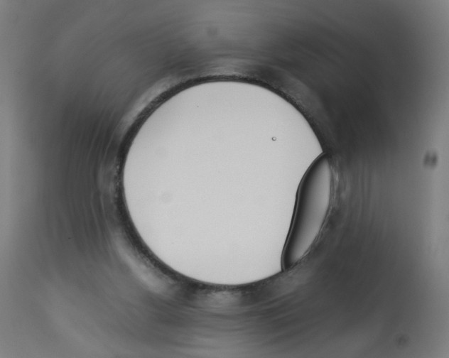 X0000113010156200910081230