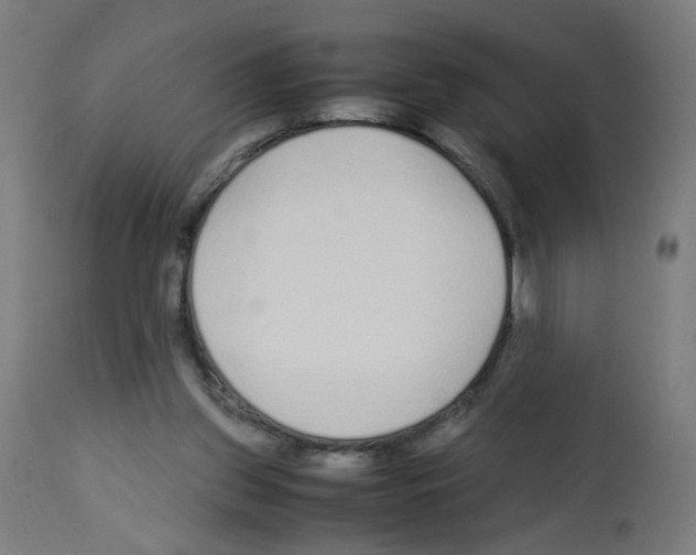X0000113010157200910081231