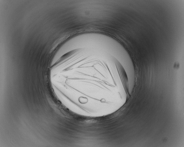 X0000113010158200910081231