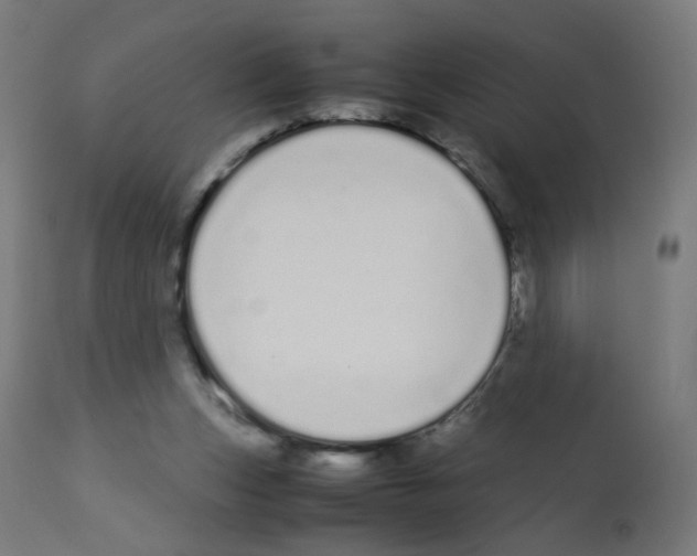 X0000113010159200910081231