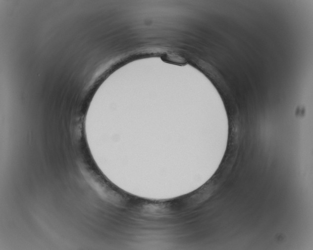 X0000113010160200910081231