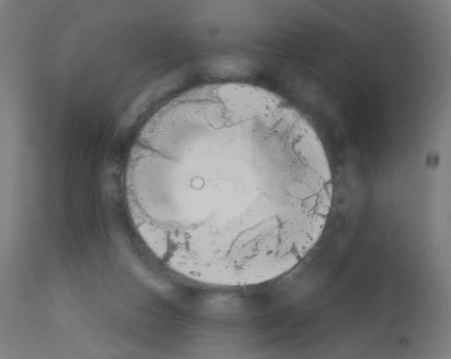 X0000113010162200910081231