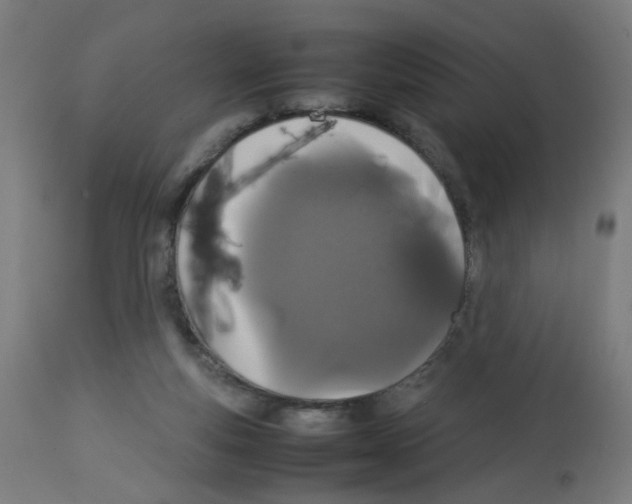 X0000113010163200910081231