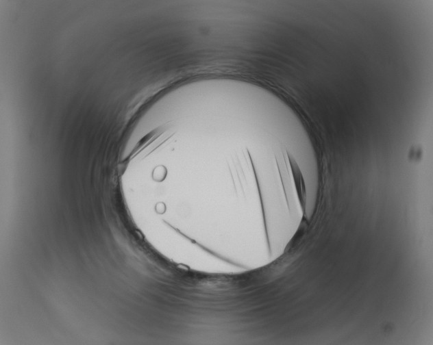 X0000113010164200910081231