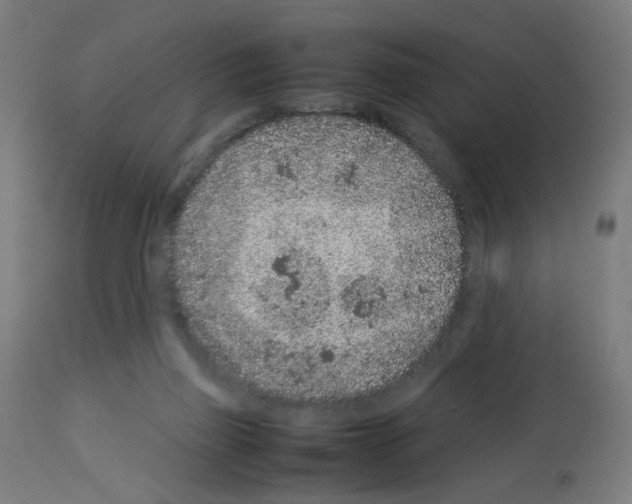 X0000113010165200910081231
