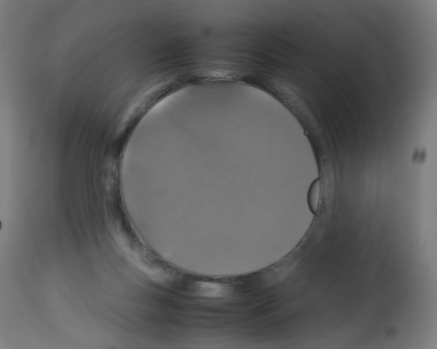 X0000113010167200910081231