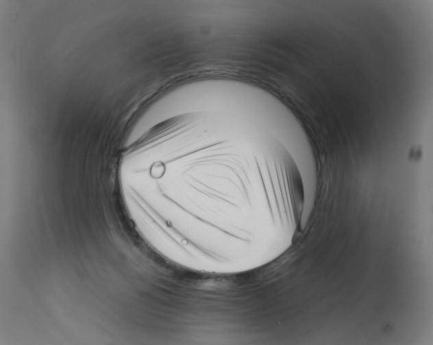 X0000113010168200910081231