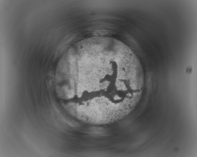 X0000113010169200910081231