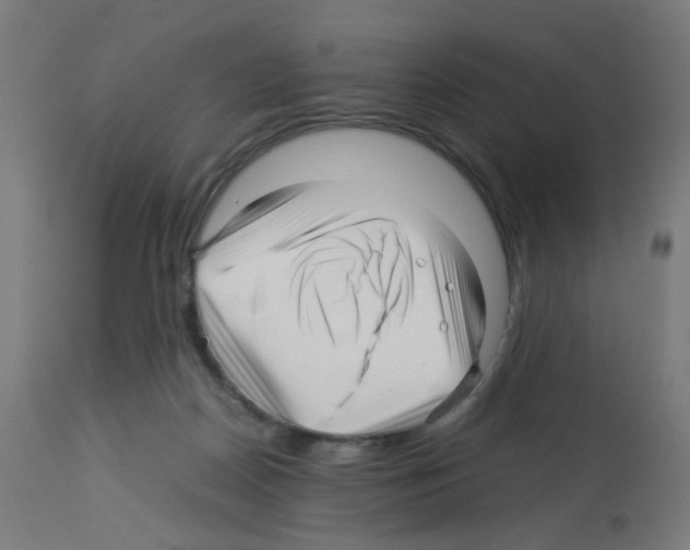 X0000113010170200910081231