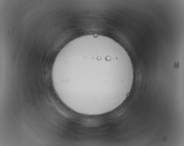 X0000113010173200910081231
