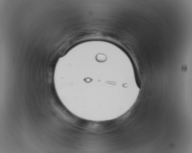 X0000113010174200910081231