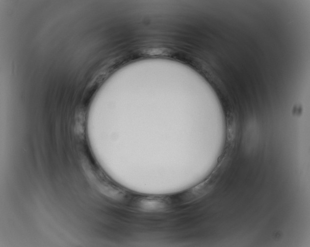 X0000113010175200910081231