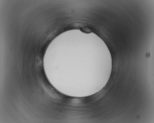 X0000113010176200910081231