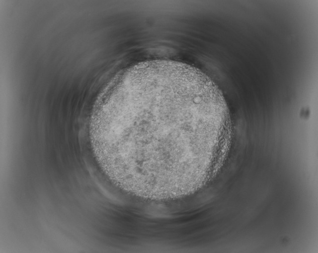 X0000113010177200910081231