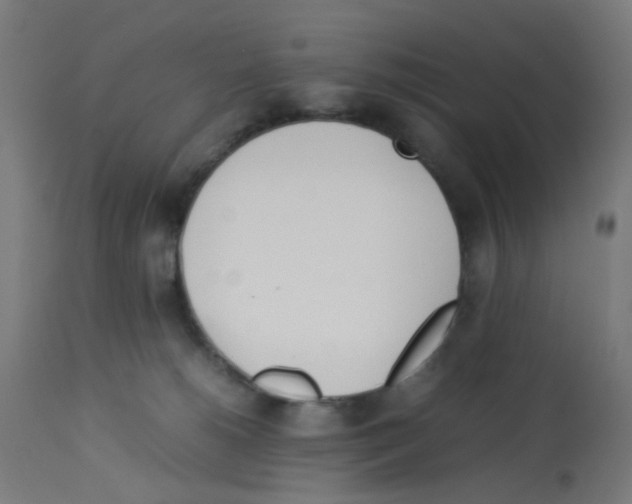 X0000113010180200910081231