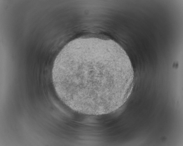 X0000113010182200910081231