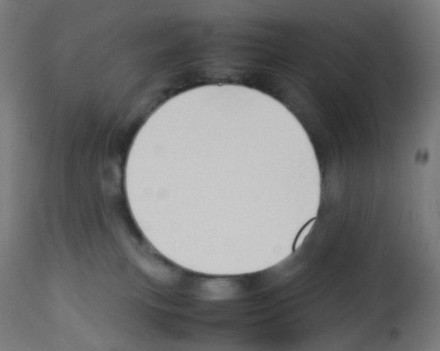 X0000113010183200910081231