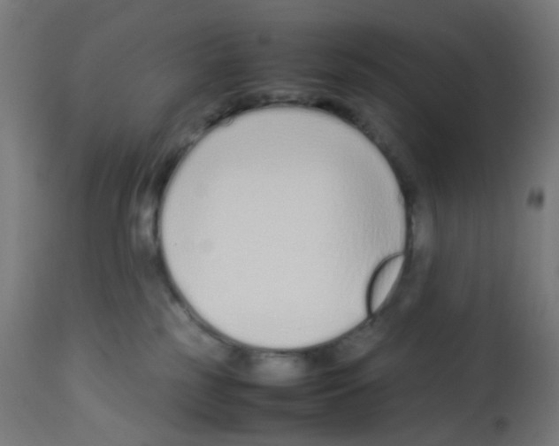 X0000113010185200910081231