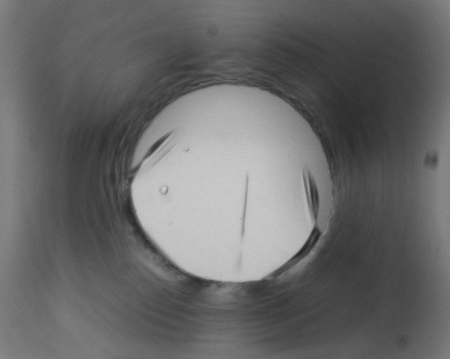 X0000113010186200910081231