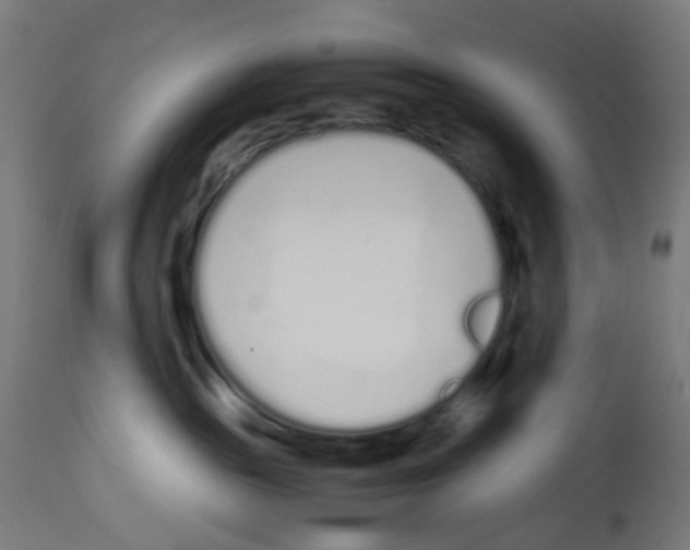 X0000113010189200910081231