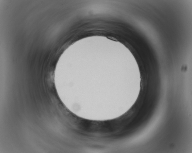 X0000113010190200910081231