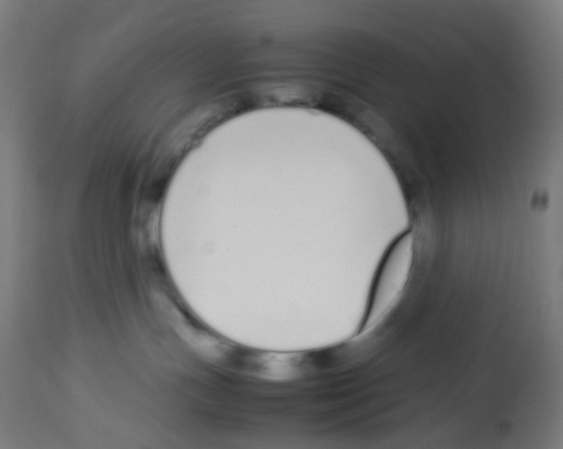 X0000113010191200910081231
