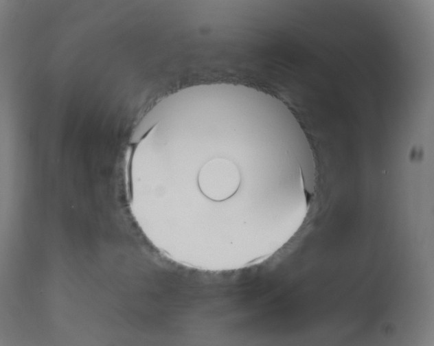 X0000113010192200910081231