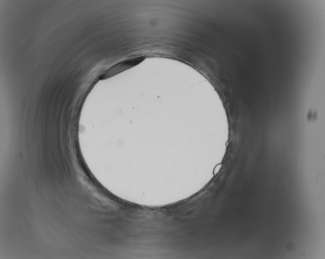 X0000113010193200910081230