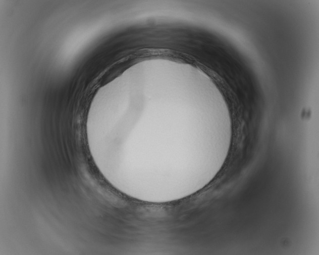 X0000113010194200910081230
