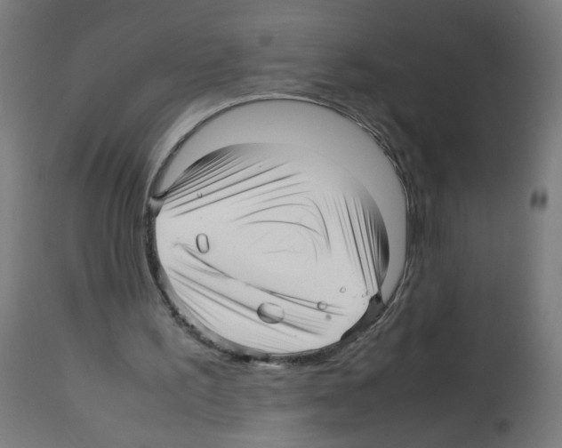 X0000113010195200910081230