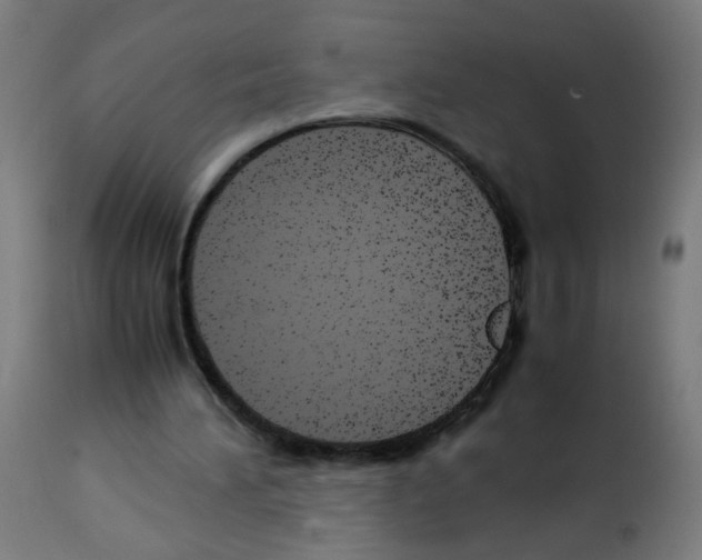 X0000113010196200910081230