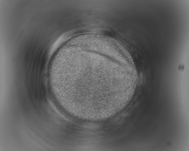 X0000113010198200910081230