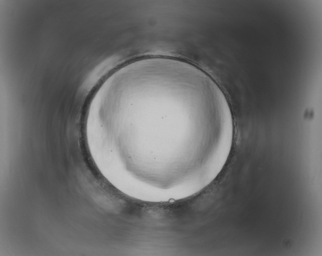 X0000113010199200910081230