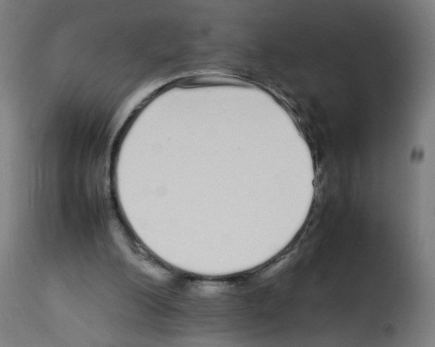 X0000113010200200910081230