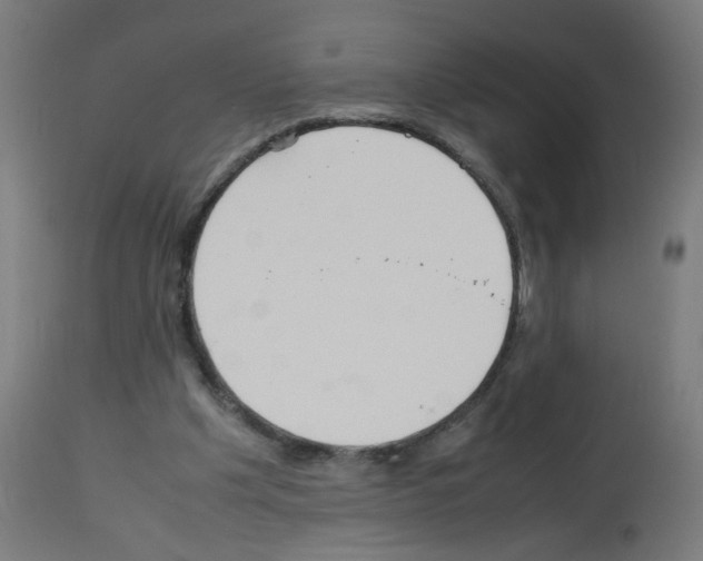 X0000113010201200910081230