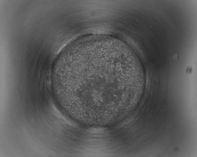 X0000113010202200910081230