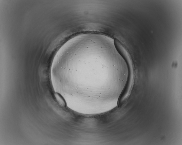 X0000113010203200910081230