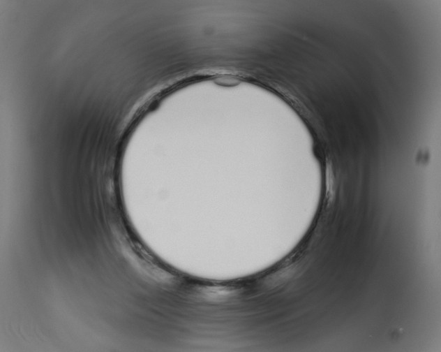X0000113010204200910081230