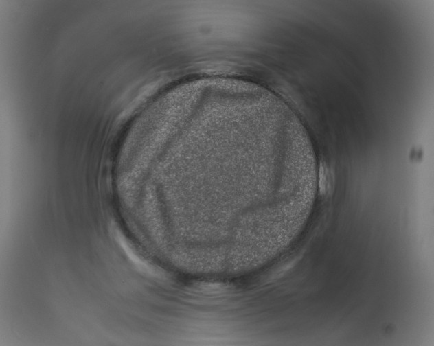 X0000113010205200910081230