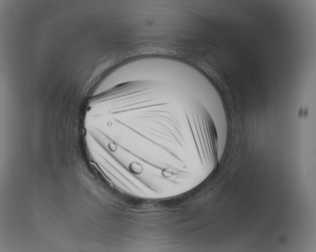 X0000113010207200910081230