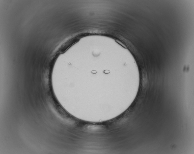 X0000113010208200910081230