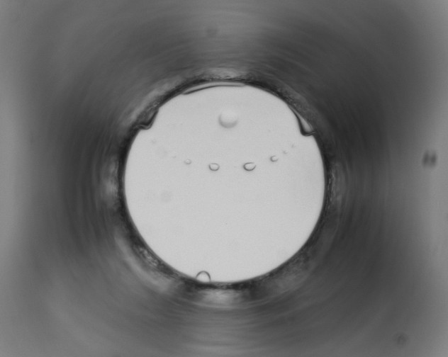 X0000113010212200910081230